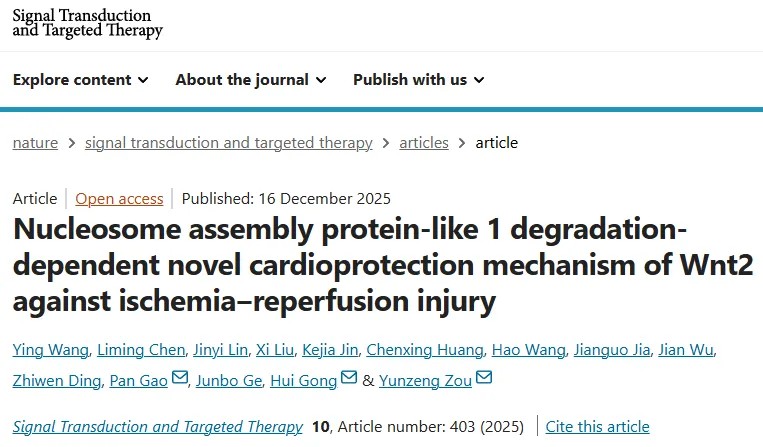 重磅研究！复旦大学附属中山医院邹云增/龚惠/高攀团队发现保护心脏免受缺血再灌注损伤全新分子机制