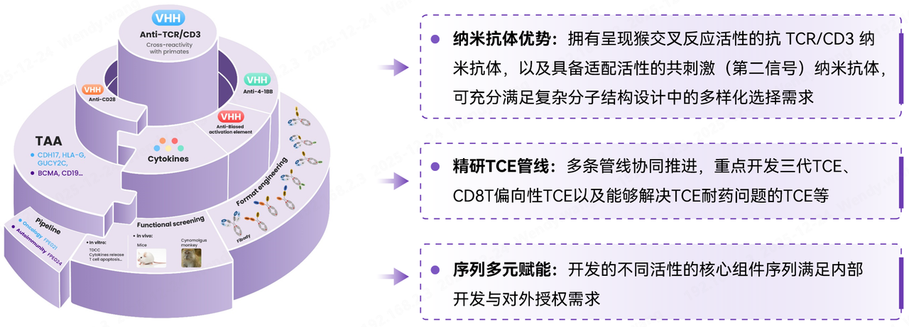 人猴交叉活性俱佳！这款CD3纳米抗体强效加速TCE药物临床转化进程