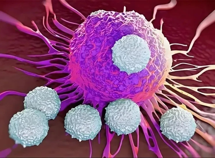 【JECCR】浙江大学医学院附属第一医院等单位合作发文：癌症免疫治疗中有前景的诊断和治疗靶点