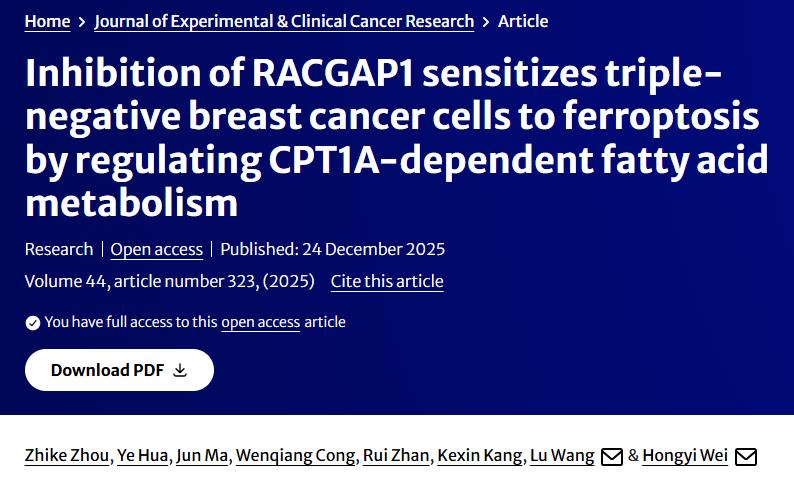调节铁死亡敏感性！中国医科大学附属盛京医院发文：可行的三阴性乳腺癌管理策略