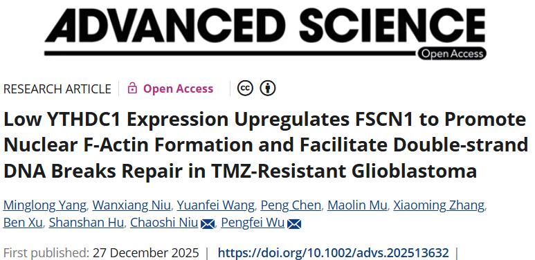 中国科学技术大学附属第一医院发文：增强治疗效果和改善胶质瘤患者预后有前景的策略