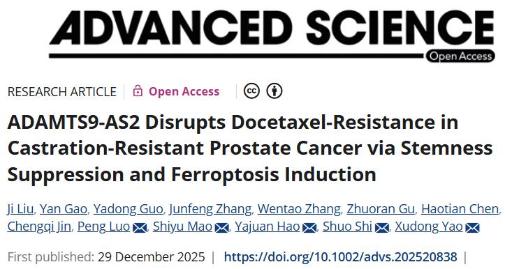 延迟多西他赛耐药性！同济大学附属第十人民医院：克服癌症化疗耐药性的新策略