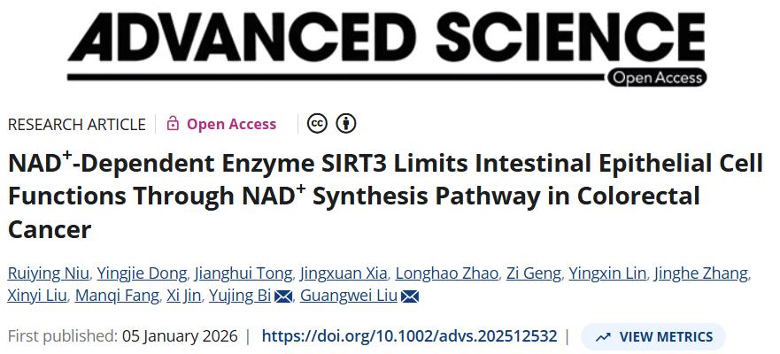 NAD+ 代谢重塑！北京师范大学等单位合作发文：治疗结直肠癌和结肠炎的新途径