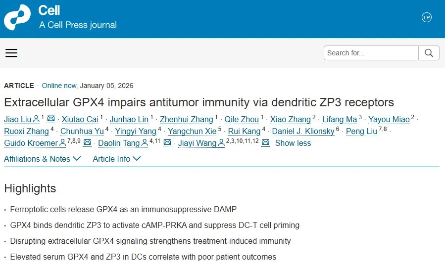 Cell重磅研究！柳娇/王佳谊团队等揭示肿瘤细胞在铁死亡过程中逃避免疫系统攻击的新机制，为肿瘤联合治疗提供新靶点