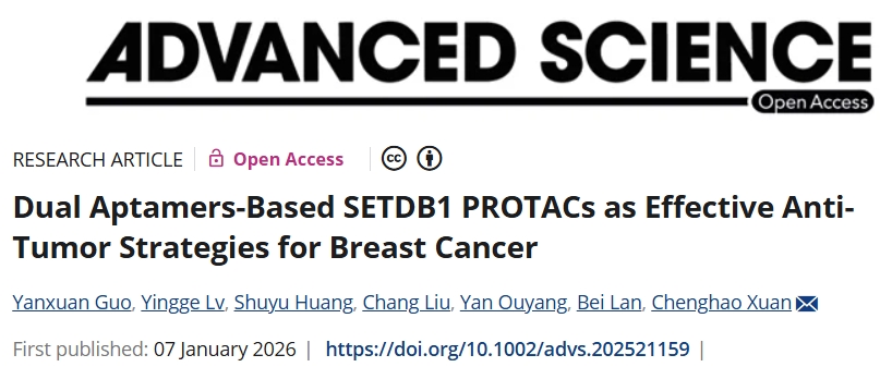 增加敏感性！天津医科大学发文：有前景的乳腺癌治疗策略