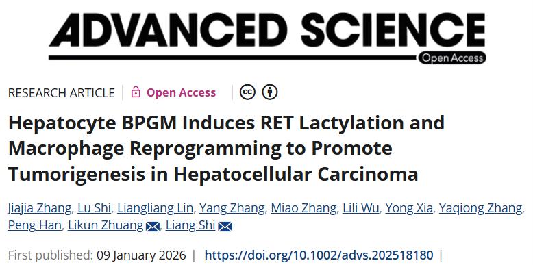 肝癌发病机制新见解！中山大学附属第八医院/青岛市市立医院合作发文：肝癌治疗潜在靶点