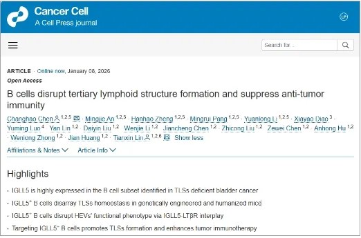 突破性研究！中山大学孙逸仙纪念医院林天歆/陈长昊团队发现特殊的B细胞亚群，系统揭示其破坏三级淋巴结构抑制抗肿瘤免疫反应