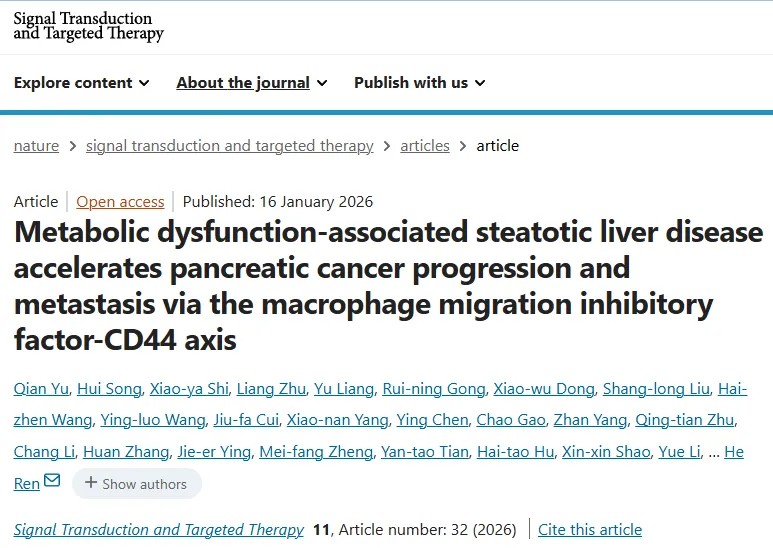 突破性研究！青岛大学附属医院任贺&扬州大学附属医院路国涛团队首次系统揭示脂肪肝是如何显著加速胰腺导管腺癌进展和肝转移的关键机制