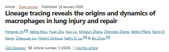 潜在分子调控机制！中国科学院/香港中文大学：肺部疾病治疗新策略