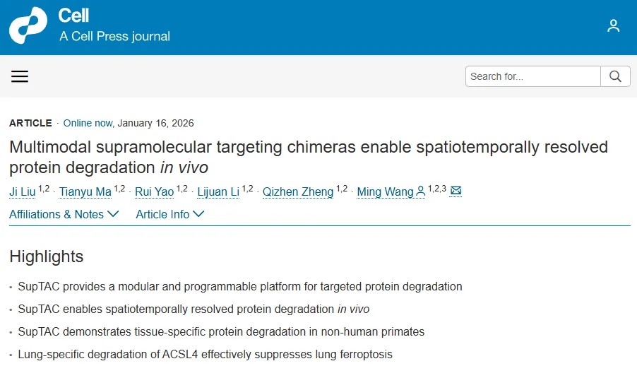 Cell | 中国科学院化学研究所汪铭团队开发靶向蛋白降解新技术：首次实现活体内时空可控的靶向蛋白质降解