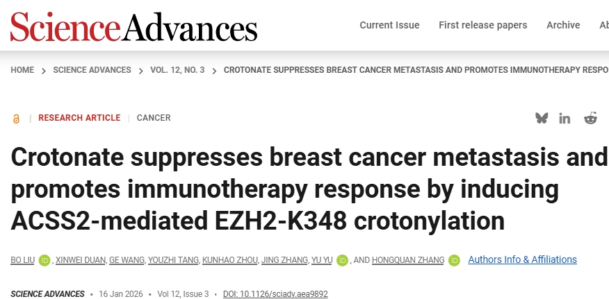 可抑制乳腺癌生长和转移！北京大学国际癌症研究院：有前景的抗乳腺癌候选药物