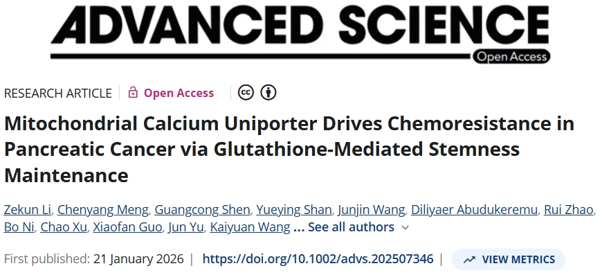 解决化疗耐药性！天津医科大学肿瘤医院：潜在的新型胰腺癌治疗策略