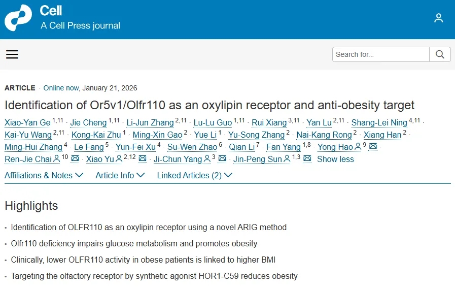 打破传统认知！孙金鹏/杨吉春/于晓/柴人杰/郝勇团队等Cell发文：系统揭示嗅觉受体在调节肝脏脂肪代谢和血糖稳态中的关键