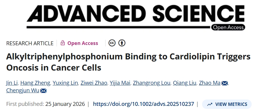 靶向心磷脂新机制！大连理工大学/山东大学合作发文：抗癌药物开发新见解