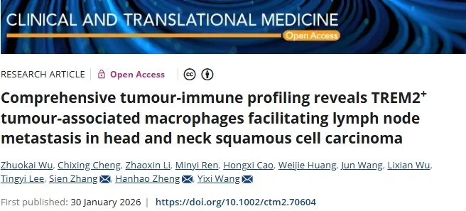 促进淋巴结转移！中山大学附属口腔医院/中山大学孙逸仙纪念医院合作发文：头颈鳞癌潜在治疗靶点