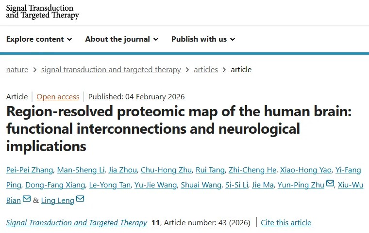突破性研究！冷泠/卞修武/朱云平团队成功构建全球首张覆盖13个人脑解剖区域的蛋白质组图谱，揭示大脑功能调控新框架