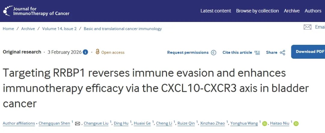 新型生物标志物！青岛大学附属医院：增强抗肿瘤免疫和改善癌症患者临床结局有前景的治疗策略