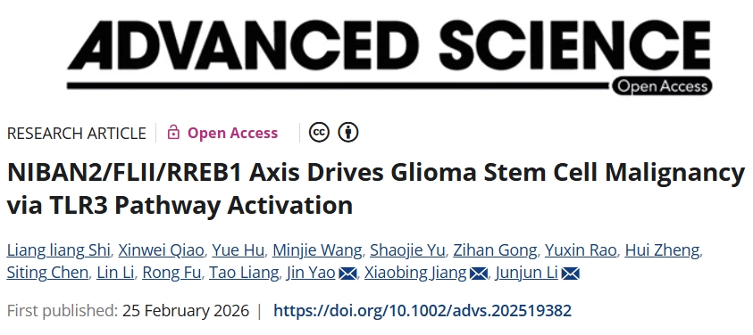 靶向胶质瘤干性精准治疗干预! 华中科技大学同济医学院附属协和医院发文：胶质瘤治疗新策略和潜在靶点