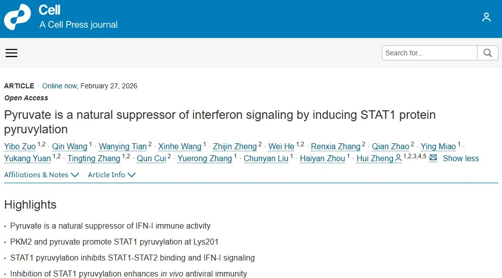 Cell重磅发布！电子科技大学医学院郑慧团队揭示代谢物丙酮酸为干扰素信号的天然抑制因子，为理解高血糖削弱抗病毒免疫提供新机制