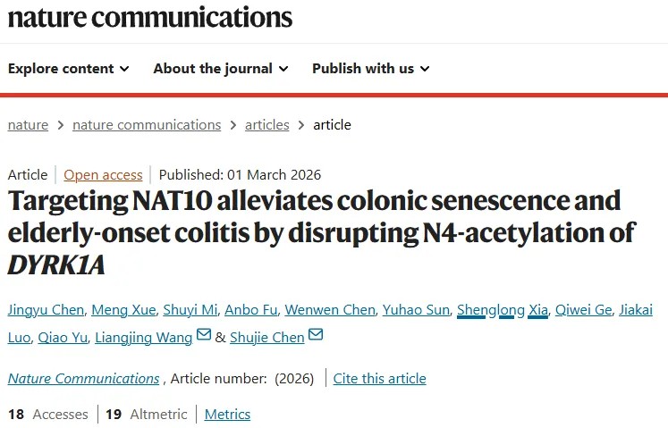 突破性研究！浙江大学陈淑洁&王良静团队发现驱动结肠上皮细胞衰老的核心调控因子，揭示老年性结肠炎发病新机制