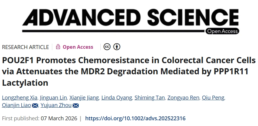 湖南省肿瘤医院/中南大学湘雅医学院附属肿瘤医院等单位合作发文：靶向化疗耐药性的新靶点