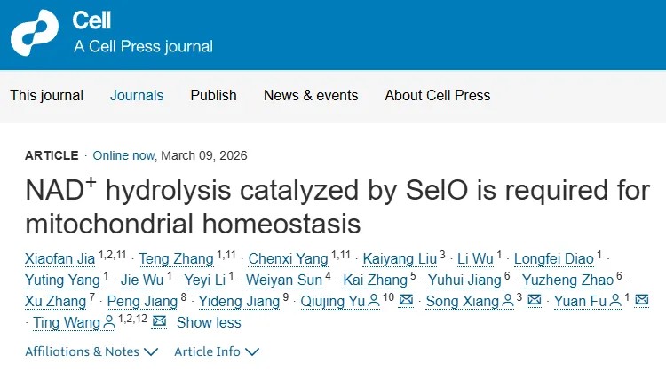 Cell | 天津医科大学王霆/傅源/向嵩&电子科技大学余秋景团队发现线粒体NAD+水解的关键酶，系统揭示其分子机制