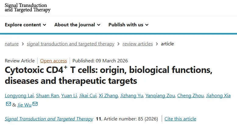 重磅综述！华中科技大学同济医学院附属协和医院吴杰/夏家红团队系统阐述CD4+CTLs细胞——起源、生物学功能、相关疾病与治疗靶点