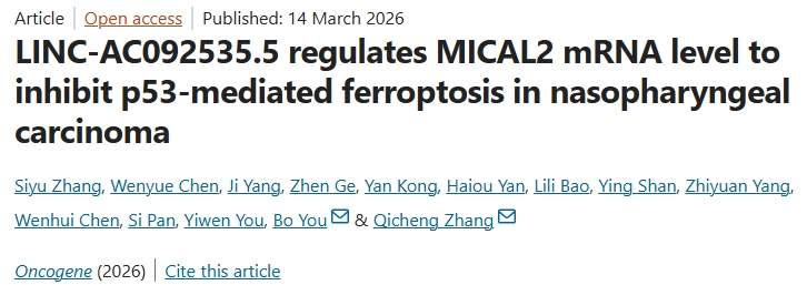 诱导铁死亡！南通大学附属医院发文：难治性鼻咽癌患者治疗新策略