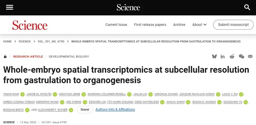 Science重磅发布！科学家绘制全球首张全胚胎、亚细胞分辨率、时空动态图谱，揭示生命构建的底层密码