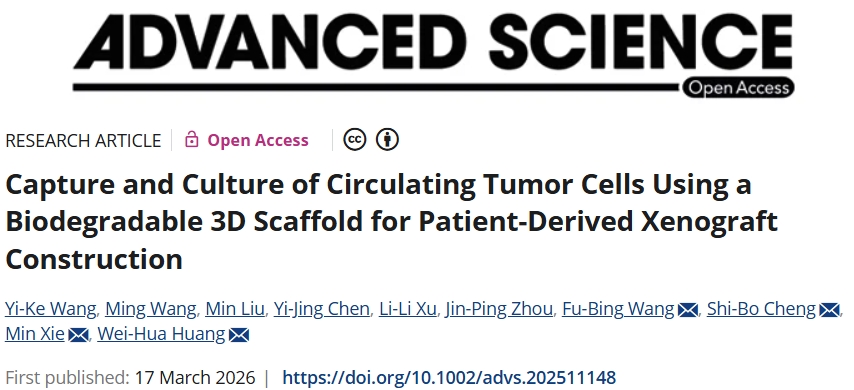 可高效捕获循环肿瘤细胞并保持细胞活力！武汉大学等单位合作发文：开发出一款新型3D纤维素支架