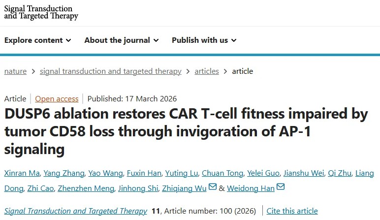 破解CAR-T耐药新机制！韩为东/伍志强团队首次系统揭示肿瘤CD58缺失削弱细胞疗法的机制，并找到关键增强靶点