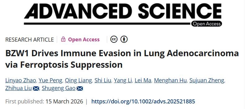 抑制铁死亡！国家癌症中心/国家肿瘤临床医学研究中心/肿瘤医院：有前景的肺癌预后生物标志物和治疗靶点