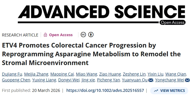 联合靶向！武汉大学中南医院/复旦大学附属肿瘤医院：可临床转化的结直肠癌治疗策略