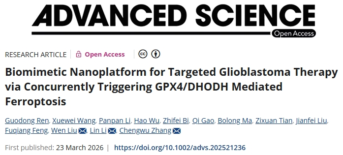 触发铁死亡！山西医科大学/西北工业大学合作发文：可有效抑制胶质瘤进展的新型纳米平台