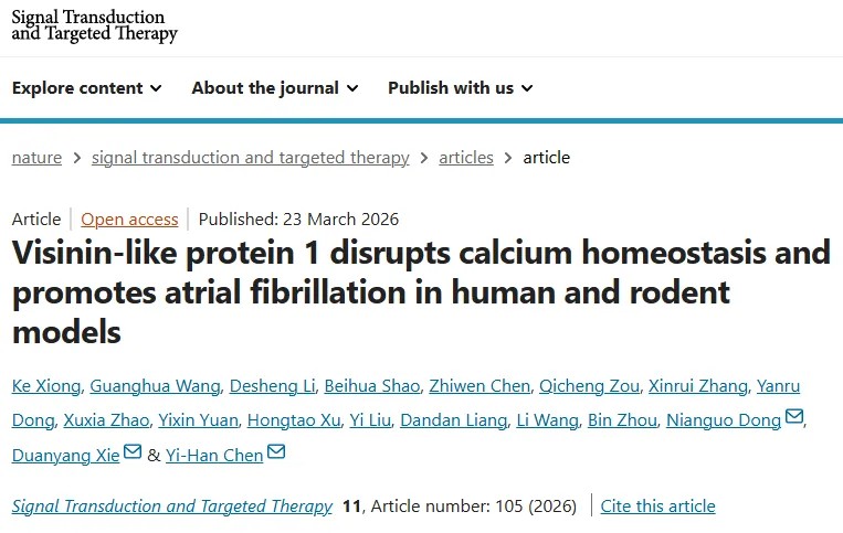 同济大学陈义汉院士领衔！发现房颤治疗新靶点，揭示其关键作用机制，两款现有药物展现治疗潜力