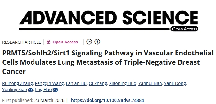 最新发现！山东大学齐鲁医学院等单位合作发文：抑制三阴性乳腺癌肺转移的新型治疗靶点