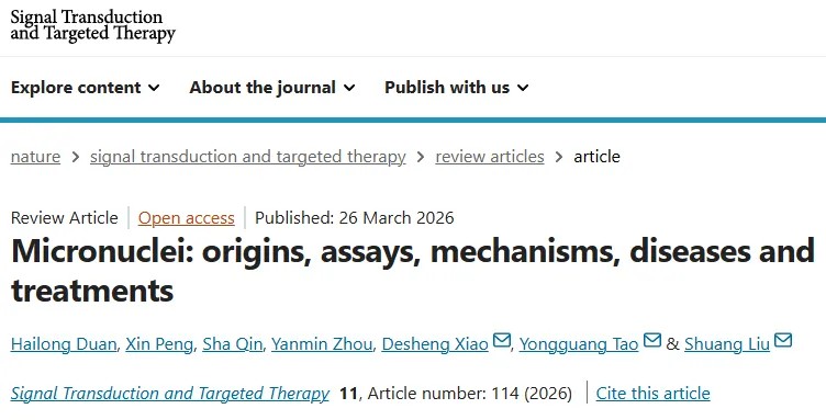重磅综述！中南大学刘双/陶永光/肖德胜团队系统阐述微核是主动加剧染色体不稳定性、驱动疾病进展的关键推手