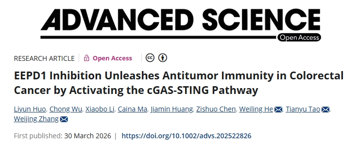 克服免疫检查点阻断耐药性！中山大学等单位合作发文：有前景的结直肠癌治疗靶点