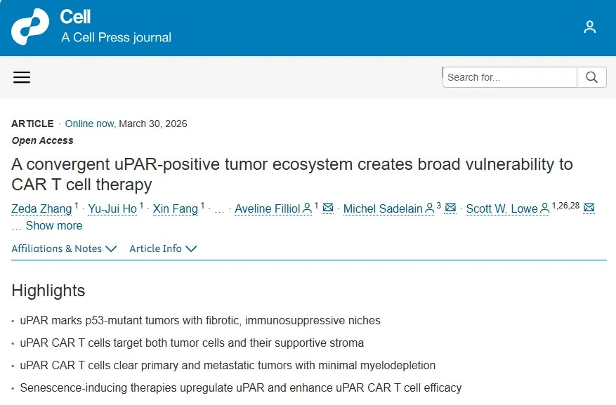 Cell重磅发布！一种新型CAR-T疗法在多种实体瘤中展现出强大的抗肿瘤活性