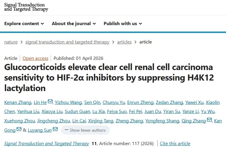 STTT | 孙露洋/龚侃/张青/何林团队首次揭示肾癌乳酸驱动新机制，廉价激素药物可显著增强肾癌靶向药疗效