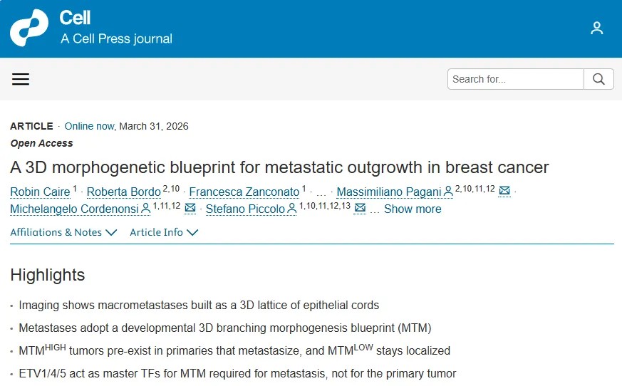 突破性研究！Cell发文破解乳腺癌转移“三维密码”，揭示致命扩散的关键信号通路与治疗新靶点