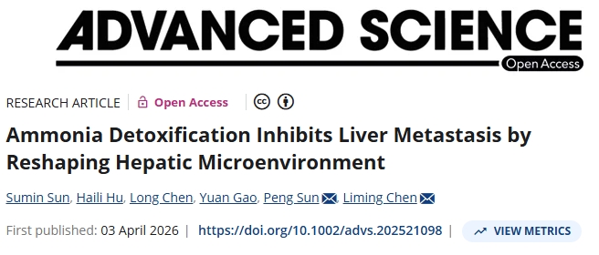 重塑肝脏微环境！江苏省肿瘤防治研究所/中山大学合作发文：癌症肝转移有前景的治疗策略