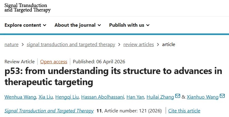 重磅综述！天津医科大学肿瘤医院王先火/张会来团队系统阐述靶向p53蛋白从结构解析到靶向治疗的最新进展