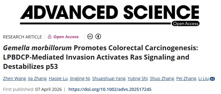 有效抑制细菌入侵！华中科技大学发文：结直肠癌潜在干预靶点