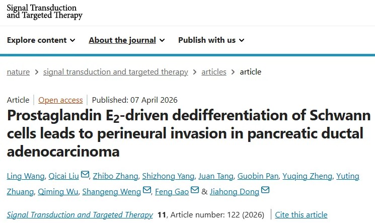 清华大学董家鸿院士领衔！首次系统揭示胰腺导管腺癌神经浸润的关键机制，锁定关键药物靶点