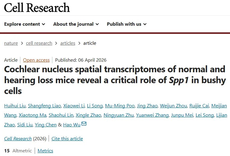 重磅研究！上海交通大学医学院附属第九人民医院吴皓团队首次绘制小鼠耳蜗核的高分辨率分子与细胞图谱