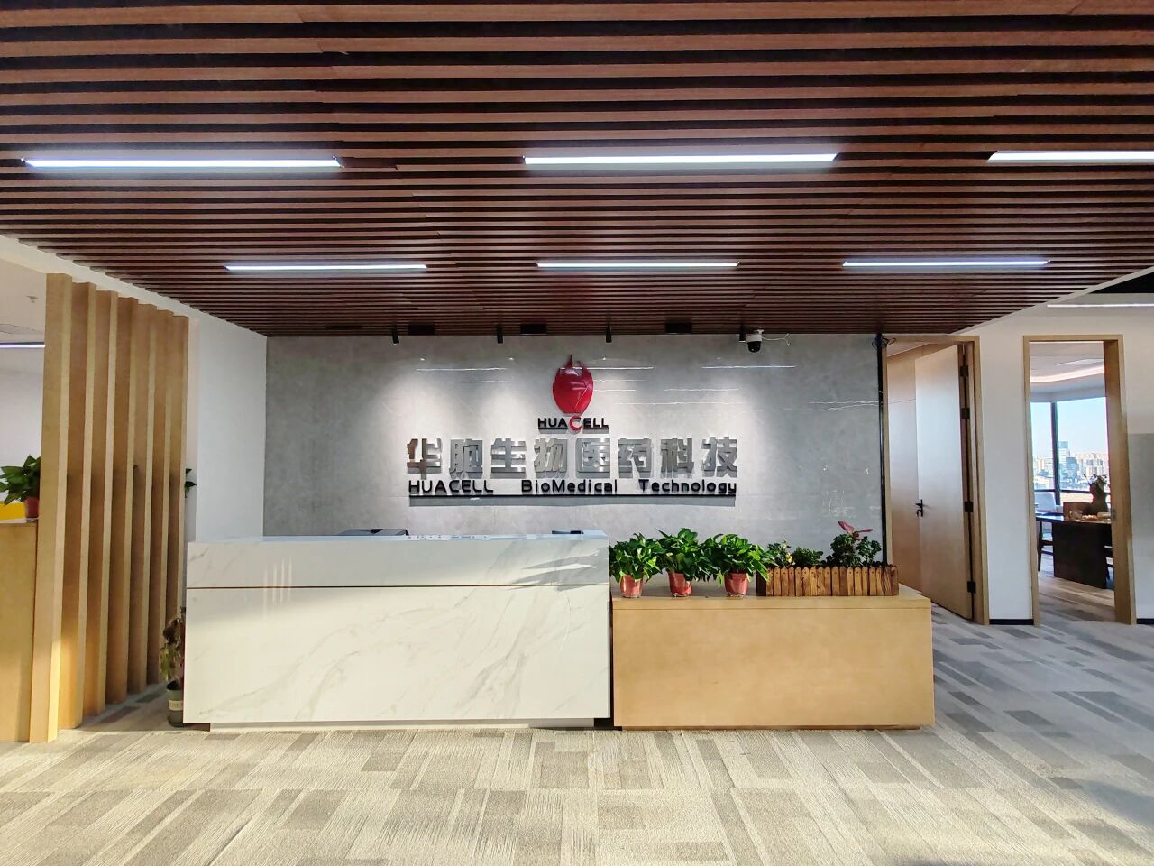 深度解码血管基质组分技术：重塑退行性骨关节炎治疗新格局与医疗出海中东新机遇