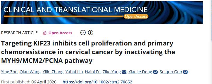 克服耐药！南方医科大学第三附属医院等单位合作发文：改善宫颈癌临床预后有前景的治疗靶点