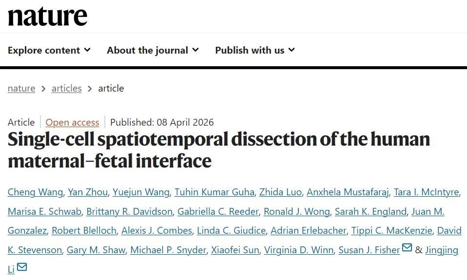 里程碑式研究！Nature发文成功构建迄今最全面的从妊娠早期到足月的人类母胎界面高分辨率细胞与分子时空图谱