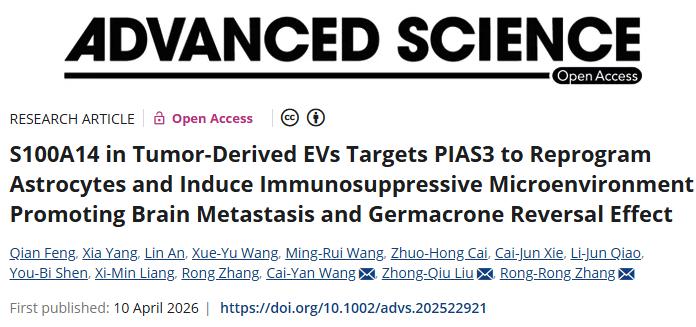 有效抑制脑转移！广州中医药大学发文：可预防癌症脑转移有前景的治疗剂